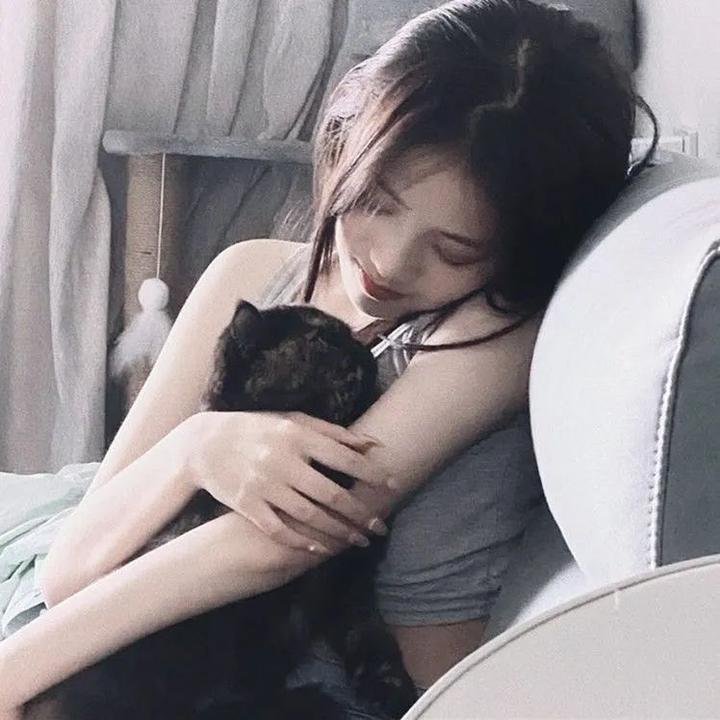 铁三角 在线观看